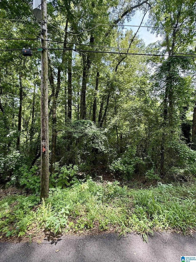 8215 Baker Ave Unit 4 & 5, Leeds, AL 35094
