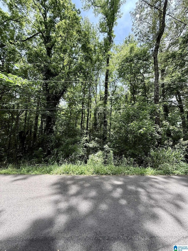 8215 Baker Ave Unit 4 & 5, Leeds, AL 35094