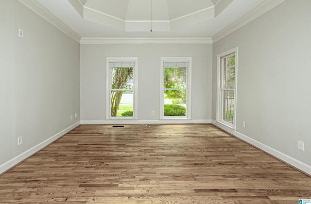 3357 Afton Ln, Birmingham, AL 35242 - spare room featuring wood finished floors, crown molding, and a tray ceiling