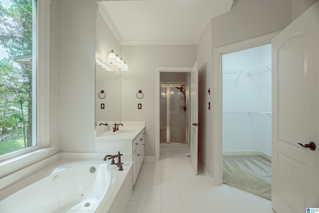 3357 Afton Ln, Birmingham, AL 35242 - bathroom with a shower stall, ornamental molding, vanity, a tub with jets, and a spacious closet