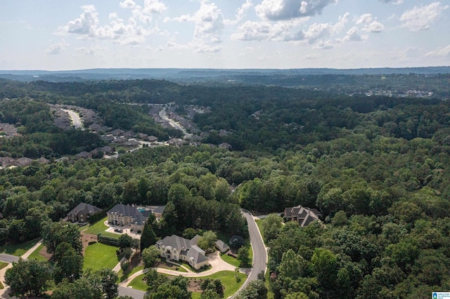 3357 Afton Ln, Birmingham, AL 35242 - drone / aerial view of a forest