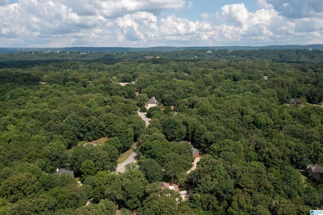 3357 Afton Ln, Birmingham, AL 35242 - bird's eye view of a heavily wooded area