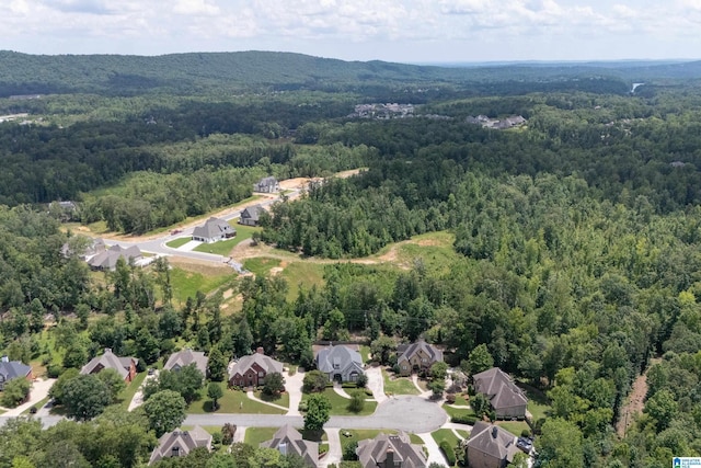 4067 Milners Cres, Hoover, AL 35242 - aerial view of residential area featuring a forest
