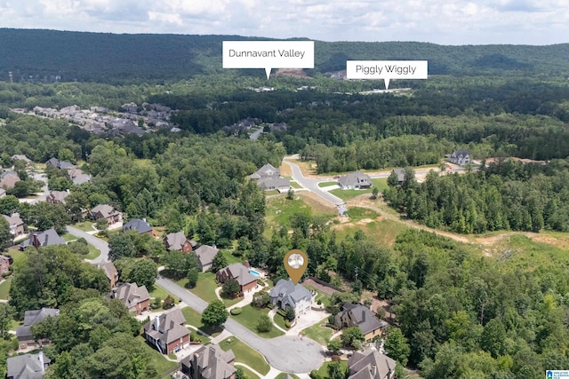 4067 Milners Cres, Hoover, AL 35242 - view of property location with a forest and nearby suburban area