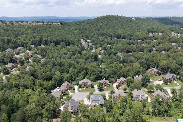 4067 Milners Cres, Hoover, AL 35242 - aerial view of residential area featuring a heavily wooded area
