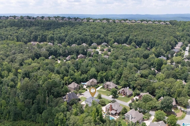 4067 Milners Cres, Hoover, AL 35242 - aerial view of a forest