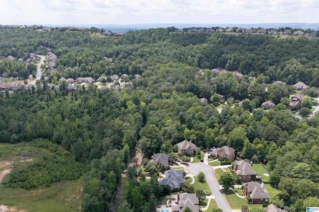 4067 Milners Cres, Hoover, AL 35242 - aerial perspective of suburban area featuring a forest