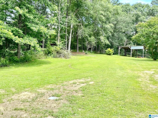 672 Websters Chapel Rd, Wellington, AL 36279 - view of green lawn