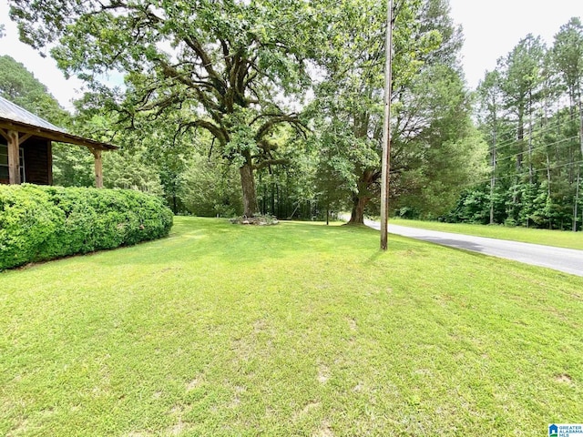 672 Websters Chapel Rd, Wellington, AL 36279 - view of grassy yard