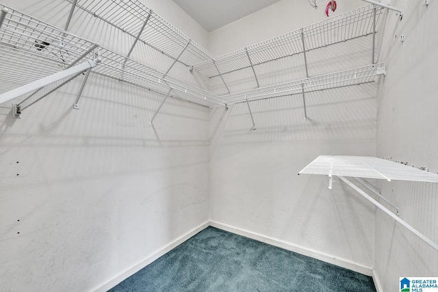 7741 John Pelham Trl, Mccalla, AL 35111 - spacious closet with carpet