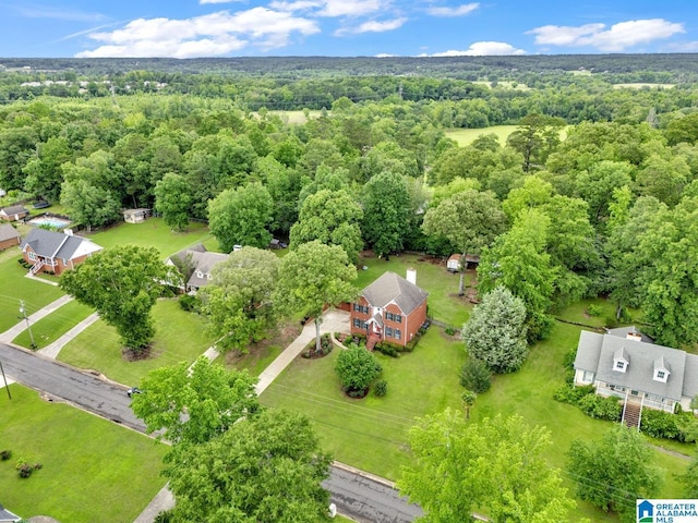 7741 John Pelham Trl, Mccalla, AL 35111 - bird's eye view of a forest