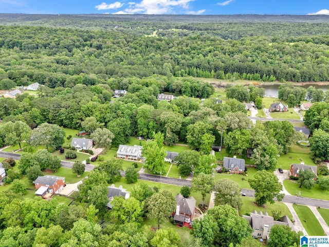 7741 John Pelham Trl, Mccalla, AL 35111 - bird's eye view of a forest