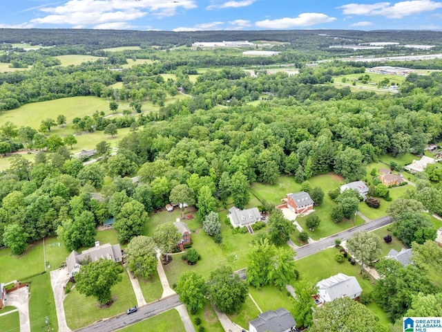 7741 John Pelham Trl, Mccalla, AL 35111 - bird's eye view
