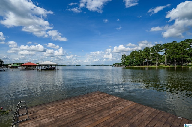 212 Bellbrook Dr, Cropwell, AL 35054 - dock with a water view