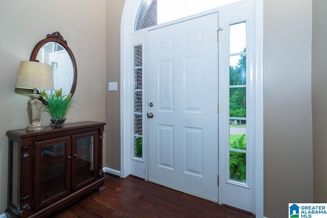 214 Quail Ridge Rd, Helena, AL 35080 - entrance foyer with dark wood-type flooring and plenty of natural light