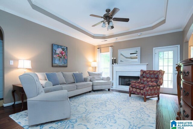 214 Quail Ridge Rd, Helena, AL 35080 - living room with a tray ceiling, wood finished floors, a fireplace with flush hearth, ceiling fan, and ornamental molding