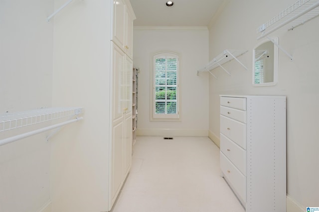 101 Mountain Ave, Mountain Brook, AL 35213 - walk in closet with light colored carpet