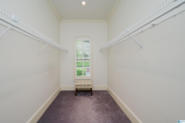 101 Mountain Ave, Mountain Brook, AL 35213 - walk in closet with carpet