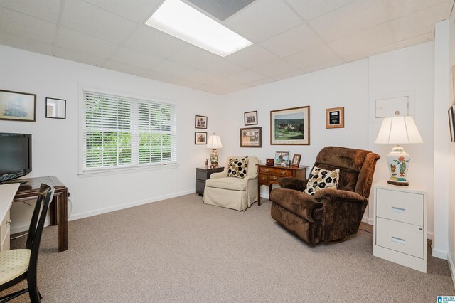 101 Mountain Ave, Mountain Brook, AL 35213 - carpeted home office featuring a drop ceiling and baseboards