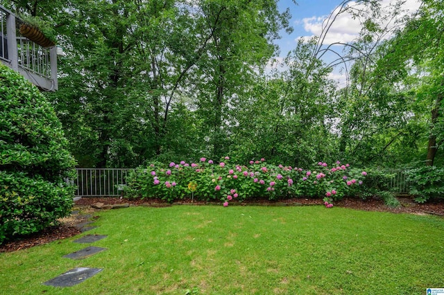 101 Mountain Ave, Mountain Brook, AL 35213 - view of yard