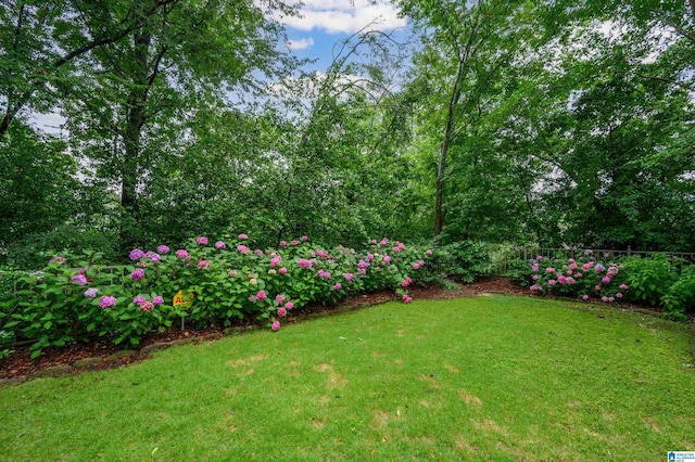 101 Mountain Ave, Mountain Brook, AL 35213 - view of yard