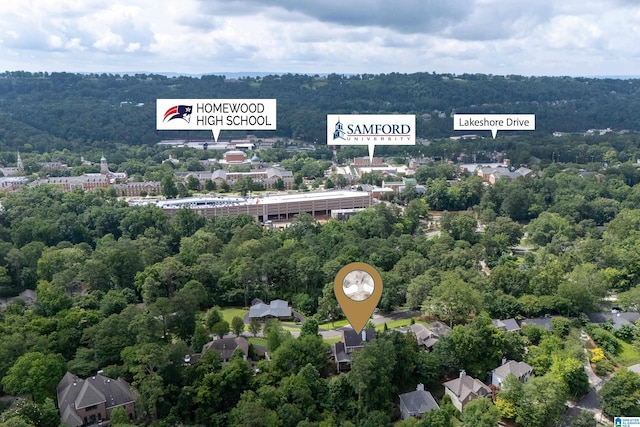 1528 Wellington Rd, Homewood, AL 35209 - bird's eye view of a forest