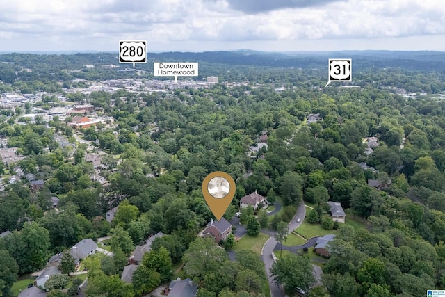 1528 Wellington Rd, Homewood, AL 35209 - bird's eye view of a forest
