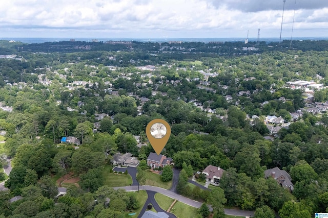 1528 Wellington Rd, Homewood, AL 35209 - drone / aerial view