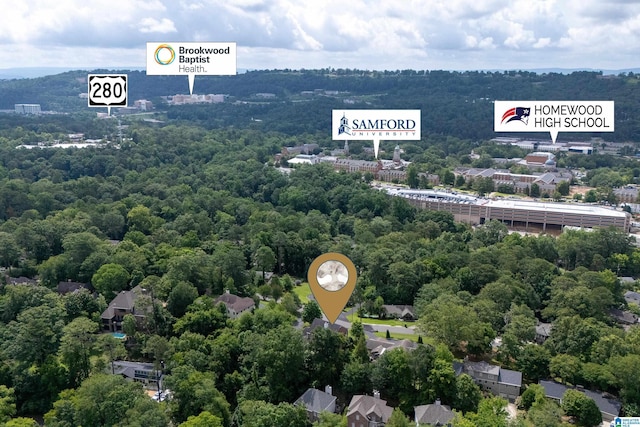 1528 Wellington Rd, Homewood, AL 35209 - bird's eye view of a heavily wooded area