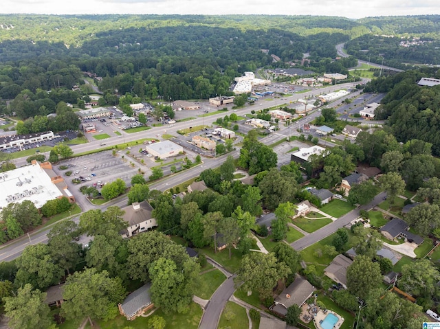 3224 Monte Doro Dr, Hoover, AL 35216 - aerial view of a heavily wooded area