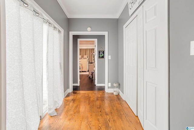 664 Jent Rd, Cordova, AL 35550 - hallway with crown molding and wood finished floors
