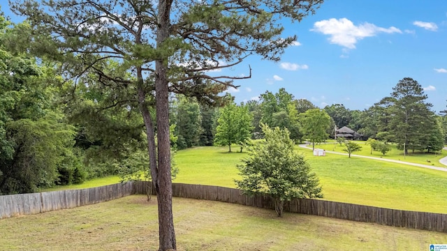 664 Jent Rd, Cordova, AL 35550 - view of yard