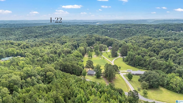 664 Jent Rd, Cordova, AL 35550 - aerial view of a forest