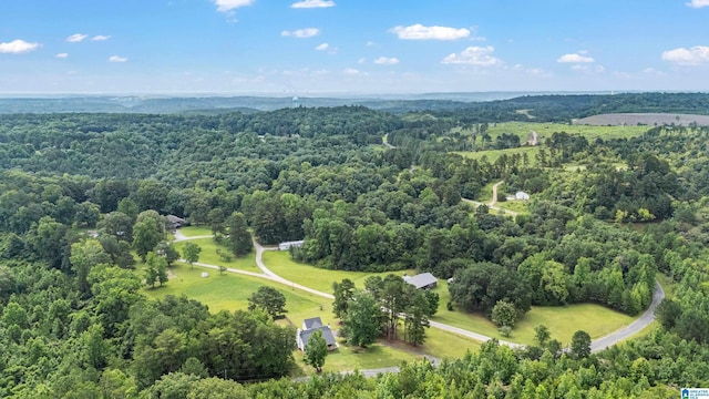 664 Jent Rd, Cordova, AL 35550 - bird's eye view of a forest