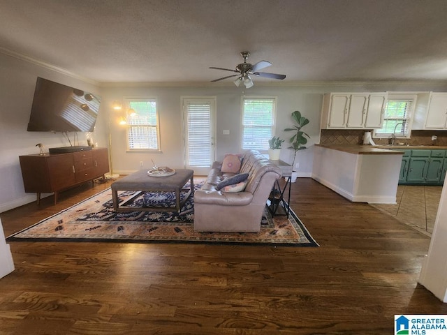 2030 Carraway St, Birmingham, AL 35235 - living area featuring ornamental molding, dark wood-style flooring, plenty of natural light, and a ceiling fan