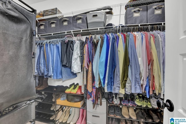 2165 Overlook Pl, Trussville, AL 35173 - view of spacious closet