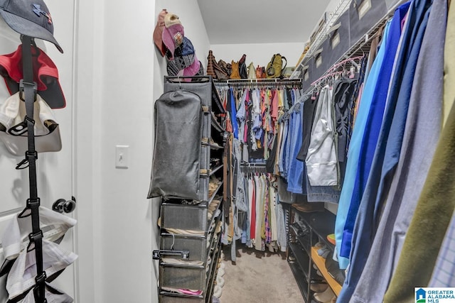 2165 Overlook Pl, Trussville, AL 35173 - view of spacious closet