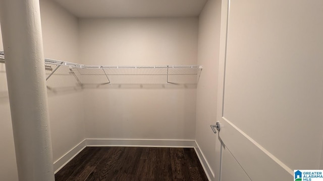1801 2nd Ave N Unit 406, Birmingham, AL 35203 - spacious closet featuring dark wood-style flooring