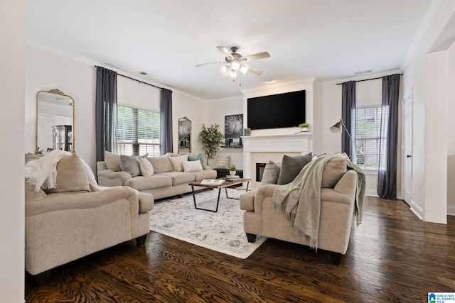 5912 Waterscape Pass, Hoover, AL 35244 - living area featuring crown molding, dark wood finished floors, a ceiling fan, plenty of natural light, and a fireplace