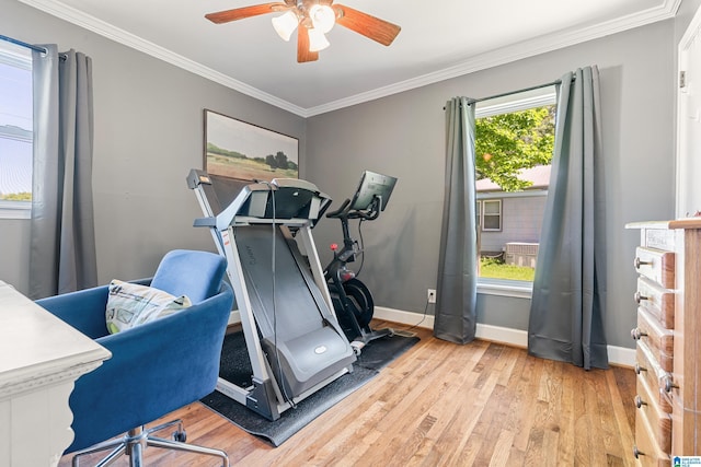 104 Phillips Cir, Columbiana, AL 35051 - exercise area featuring ceiling fan, light wood-style floors, and ornamental molding