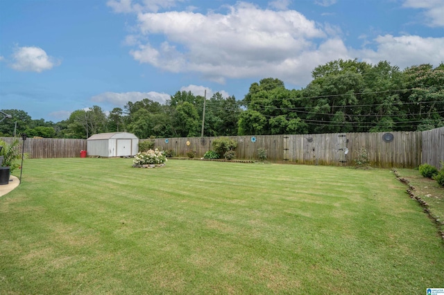 11967 Glen Ridge Blvd, Moundville, AL 35474 - fenced backyard with a storage unit