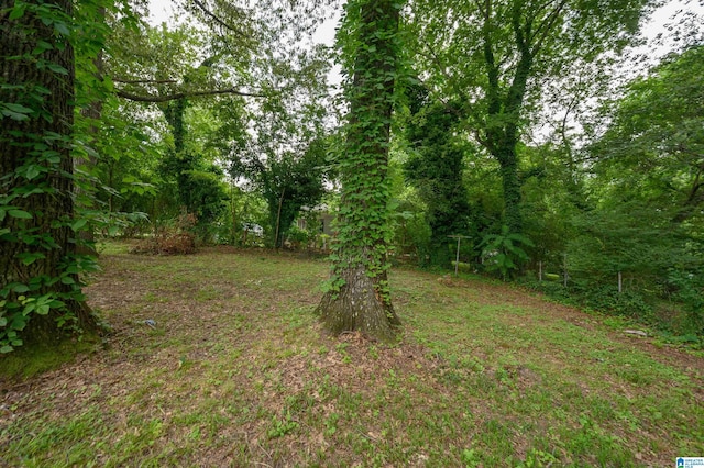 201 Sun Valley Rd, Center Point, AL 35215 - view of yard
