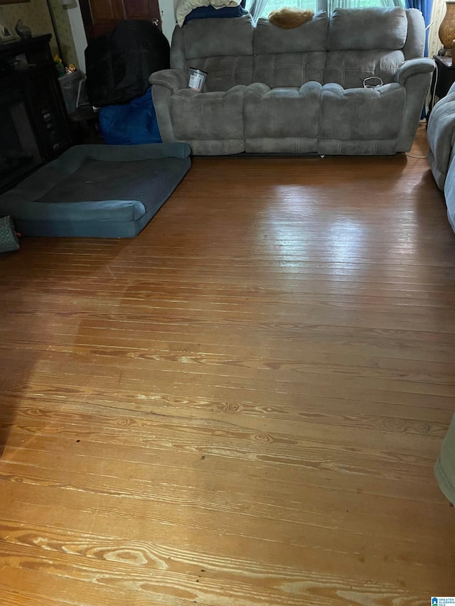 67 Evans Bridge Rd, Heflin, AL 36264 - living room with light wood-style floors