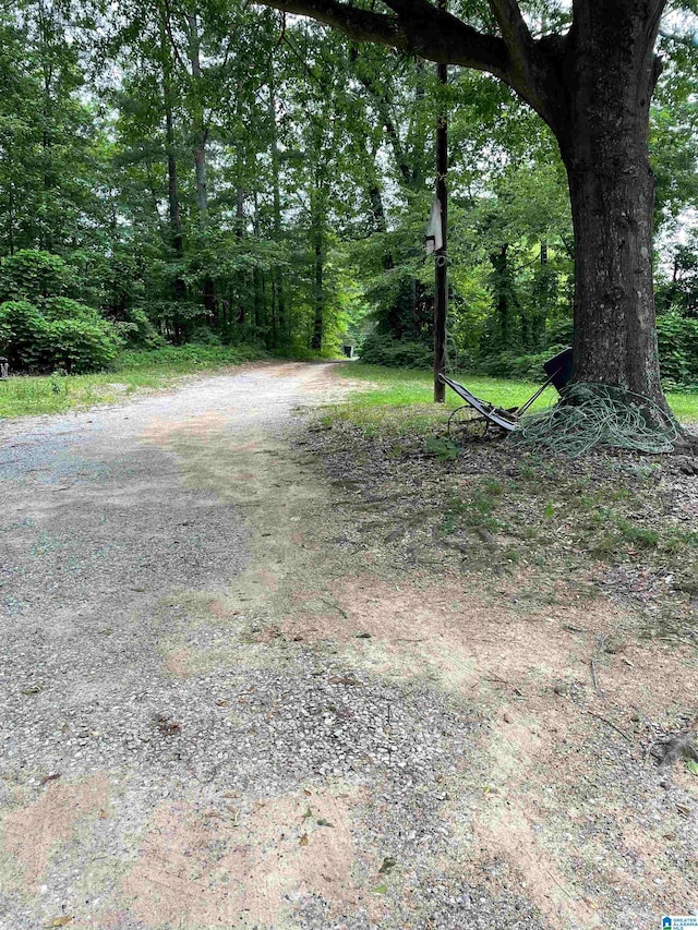 67 Evans Bridge Rd, Heflin, AL 36264 - view of road with a forest view