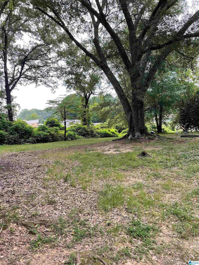 67 Evans Bridge Rd, Heflin, AL 36264 - view of yard