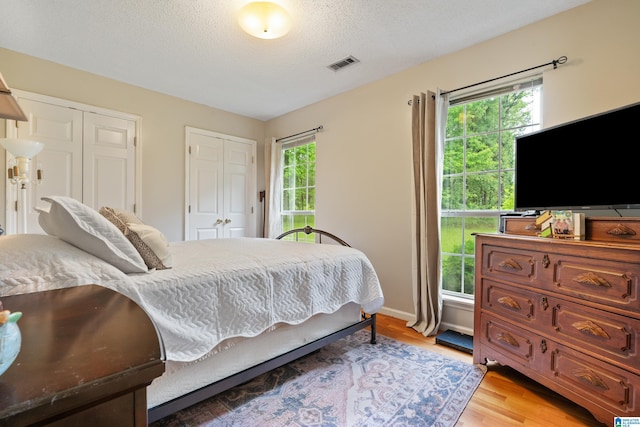2690 Ingate Pass, Centreville, AL 35042 - bedroom with light wood finished floors, a textured ceiling, and multiple closets