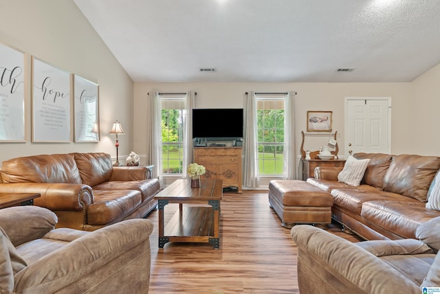 2690 Ingate Pass, Centreville, AL 35042 - living room with light wood-style floors and lofted ceiling