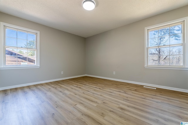 1025 Old Mill Rd, Anniston, AL 36207 - empty room with healthy amount of natural light, light wood-style floors, and a textured ceiling