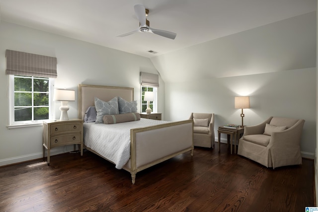 3600 Park Ln S, Mountain Brook, AL 35213 - bedroom featuring lofted ceiling, multiple windows, dark wood-style flooring, and ceiling fan