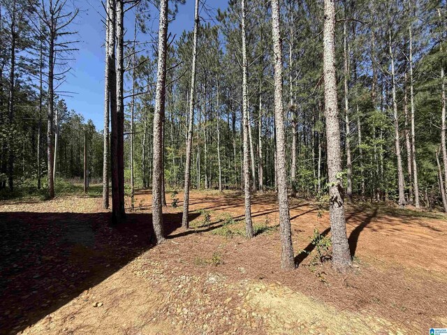1926 County Road 621 S, Woodland, AL 36280 - view of yard with a view of trees